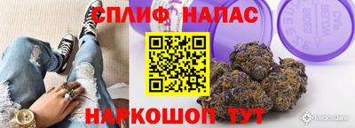гидропоника Коммунар