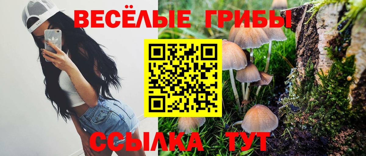 Псилоцибиновые грибы мицелий Балашов