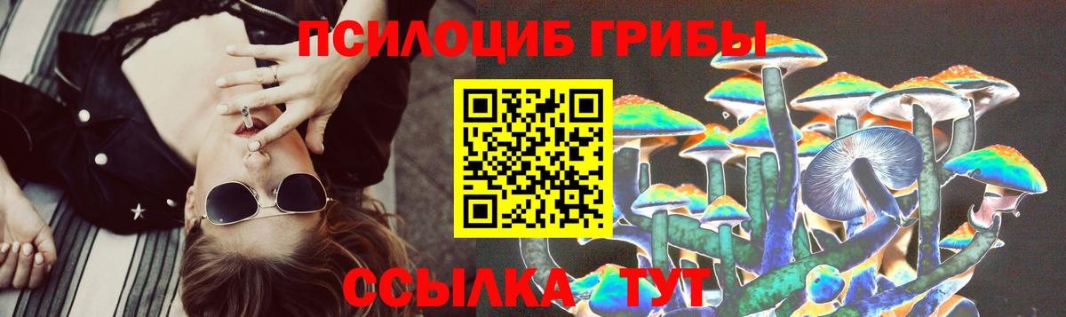 Галлюциногенные грибы прущие грибы  купить наркотики сайты  Балашов  Вход с VPN 